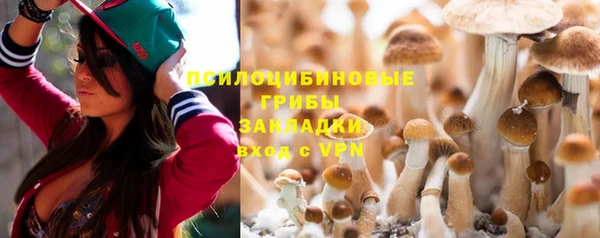 СК Михайлов