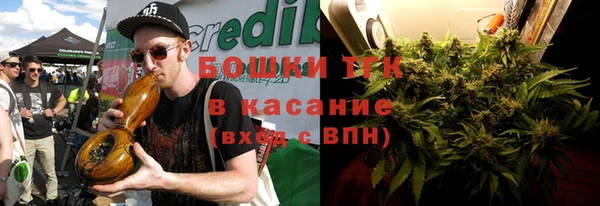 СК Михайлов