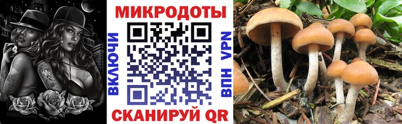 Галлюциногенные грибы мицелий  как найти закладки  omg маркетплейс  Севастополь 